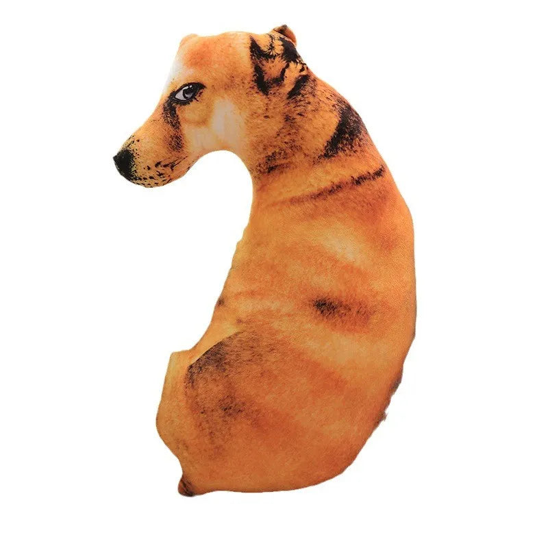 Chinese Rural Dog