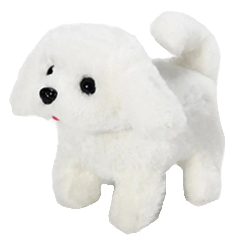 Bichon Frise