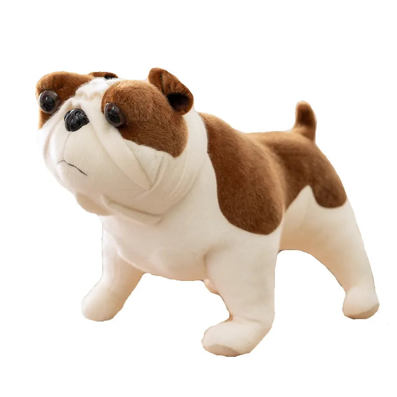 English Bulldog_Imitation pet dog