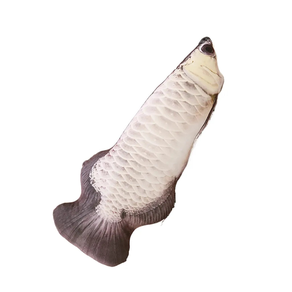 Realistic Fabric Ocean Fish Plush toy, Collection for fish lovers, Home Decoration Gifts