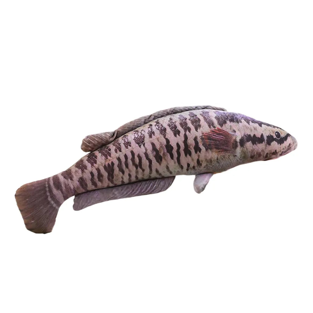Realistic Fabric Ocean Fish Plush toy, Collection for fish lovers, Home Decoration Gifts