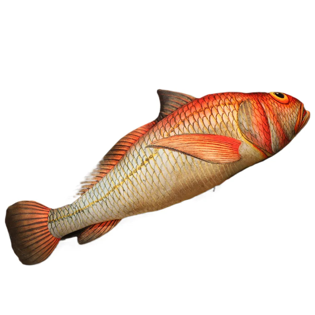 Realistic Fabric Ocean Fish Plush toy, Collection for fish lovers, Home Decoration Gifts