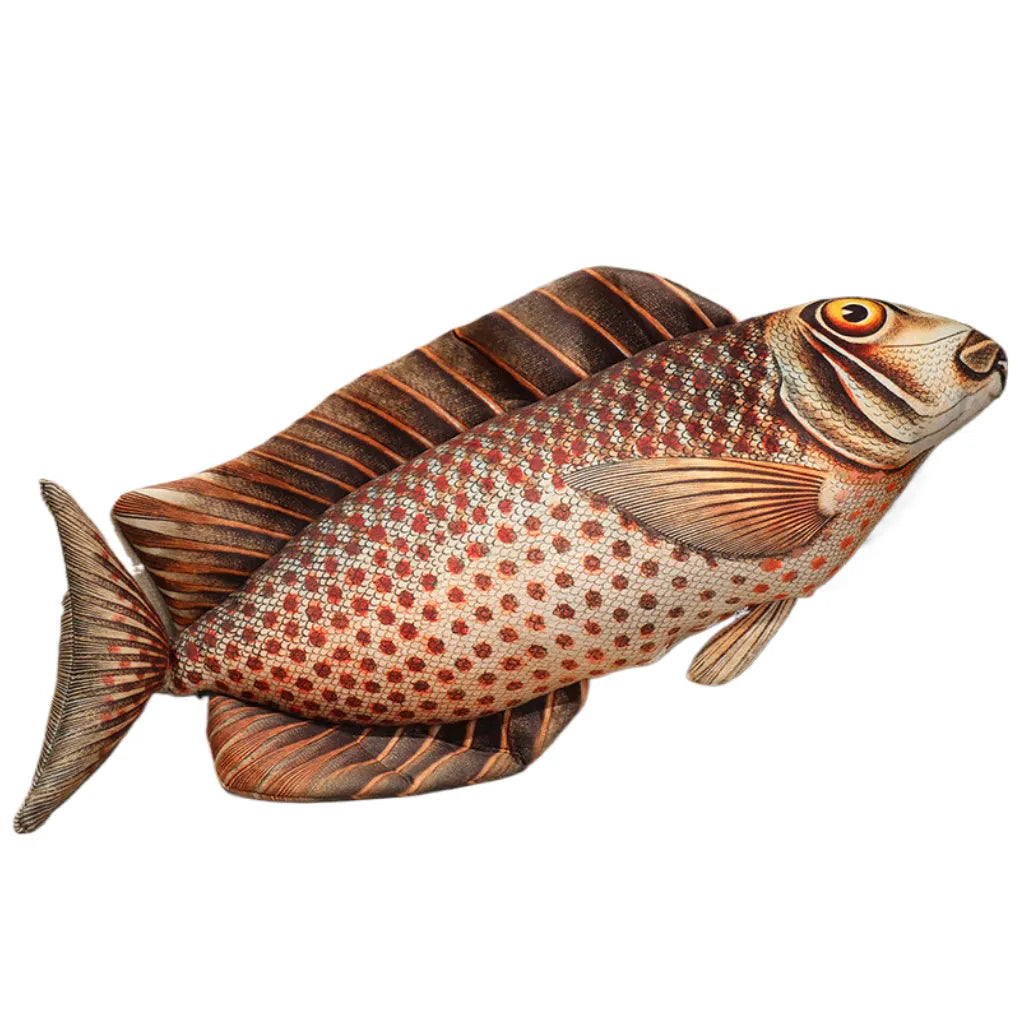 Realistic Fabric Ocean Fish Plush toy, Collection for fish lovers, Home Decoration Gifts