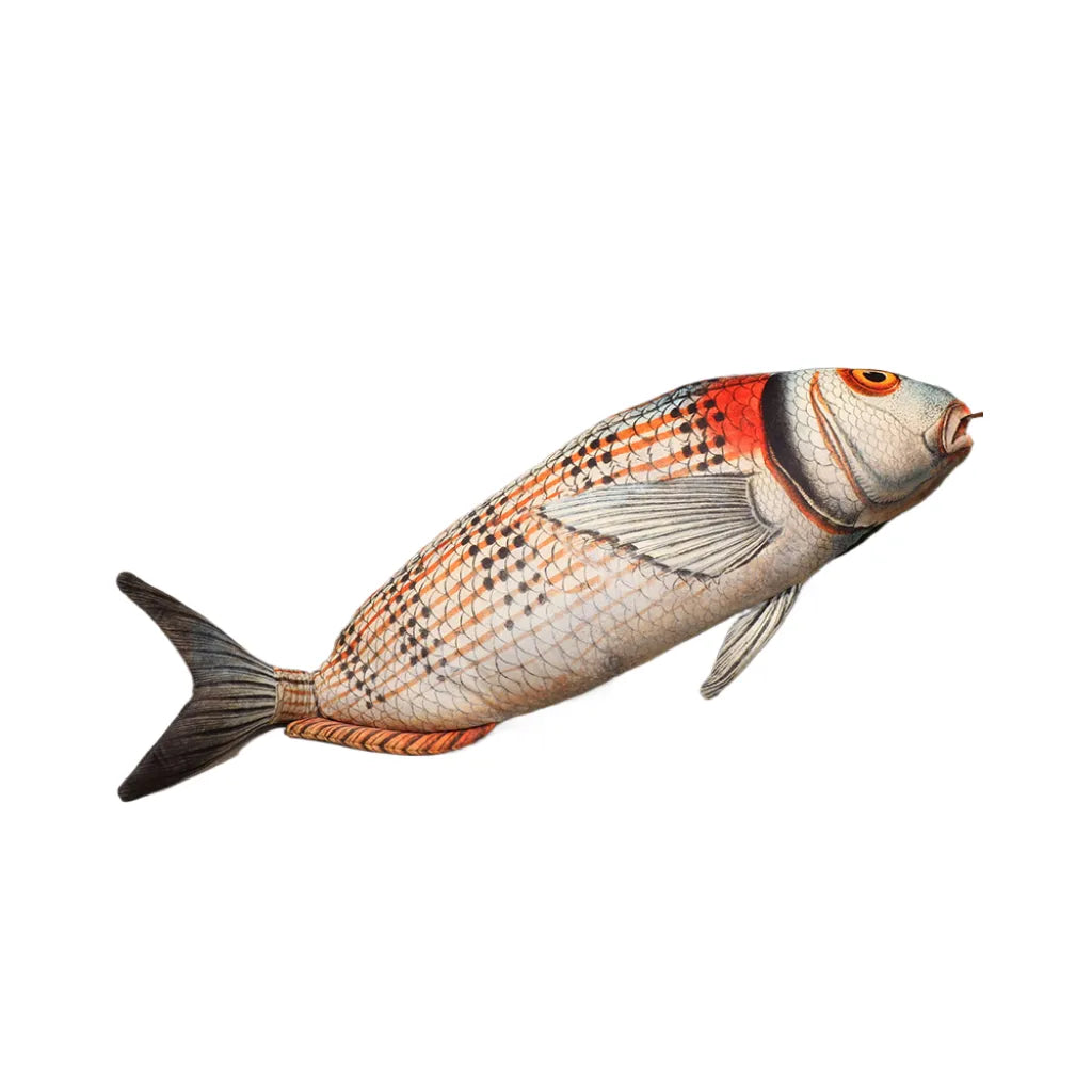 Realistic Fabric Ocean Fish Plush toy, Collection for fish lovers, Home Decoration Gifts