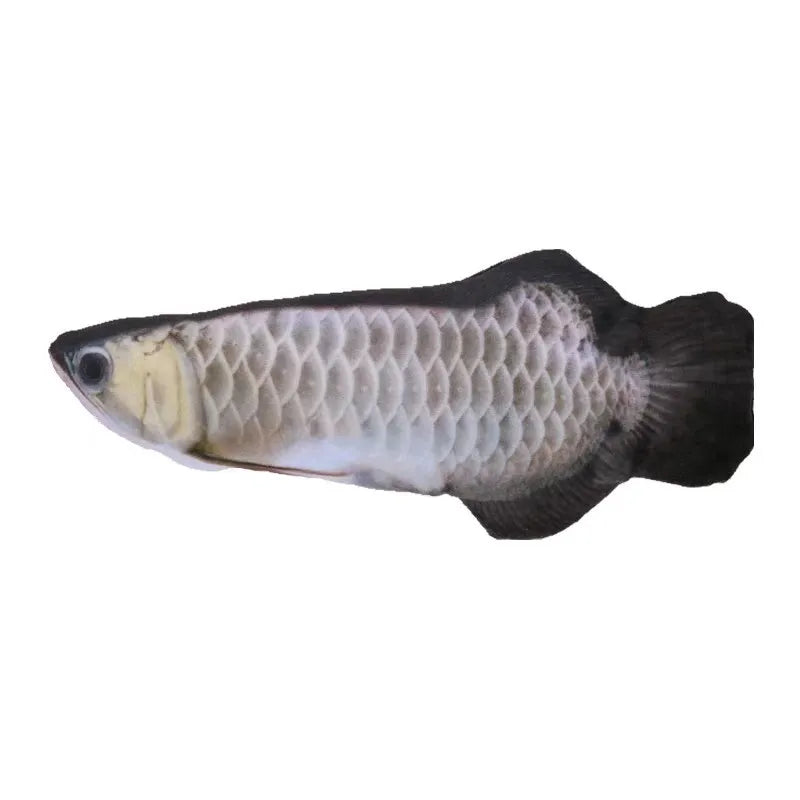 Simulation electric fish plush toy silver dragon