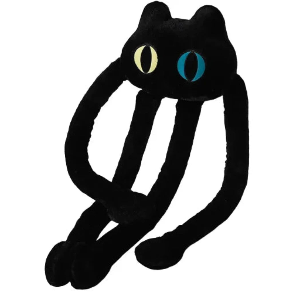 black cat