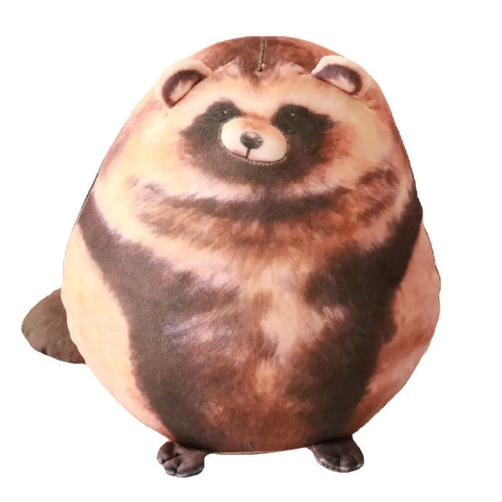 Raccoon