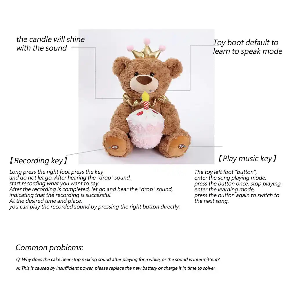 Singing Happy Birthday Bear Plush toy 3