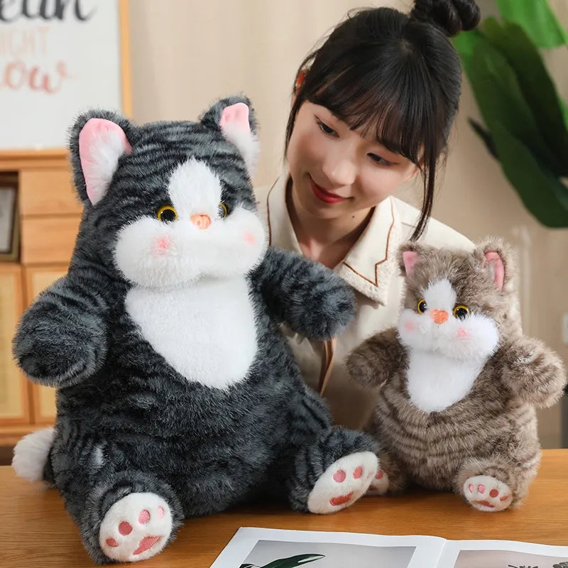 Weighted Cat plush Toy 1